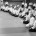 Årets Nyårsläger lockade aikidokas som har varit här många gånger förut och flera nya besökare. Laila Fladberg 4 dan från Göteborgs Aikidoklubb, har nästan aldrig missat ett nyårsläger. – Ja....