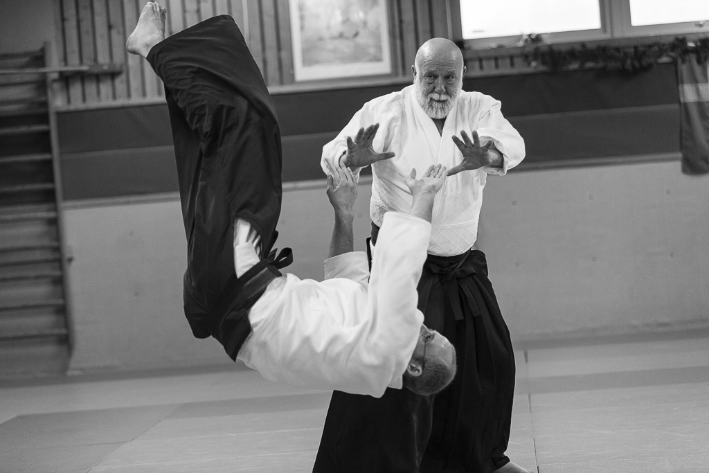 Aikido бросок